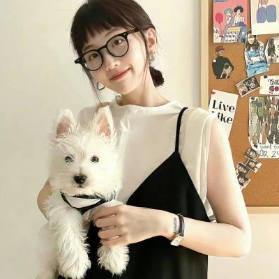 逐梦夏日
